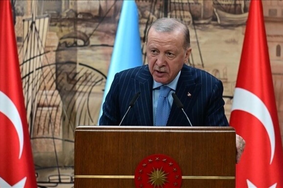 Erdogan says Israels recognition of Somaliland is illegitimate