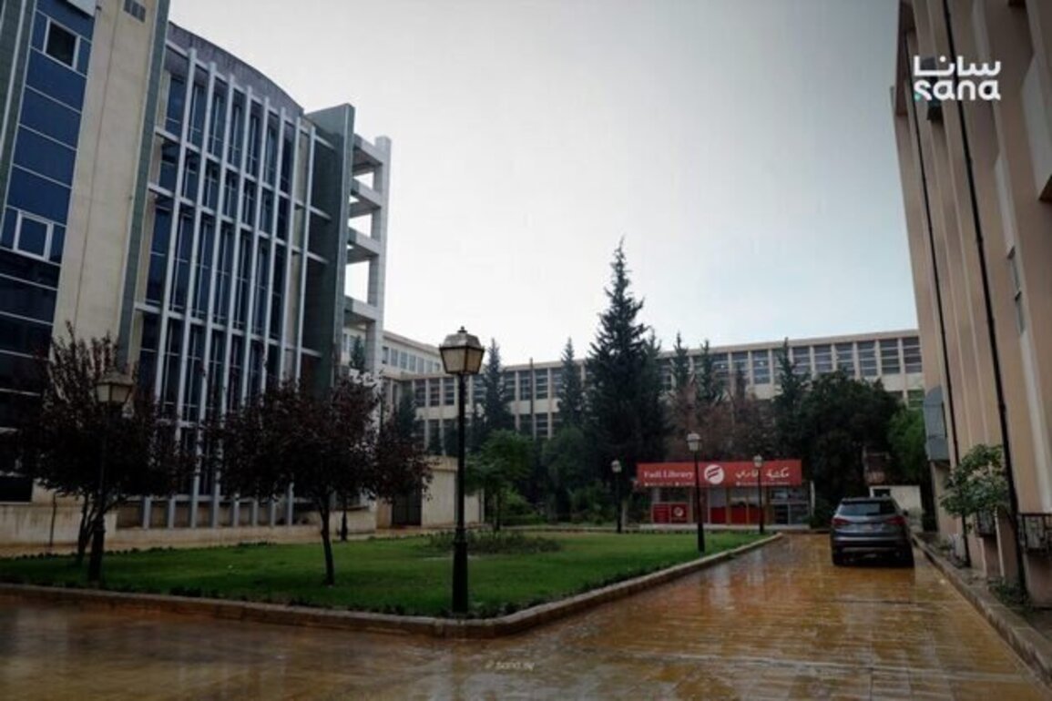 Experts: Repeal of Caesar Act opens door for Syrias economic recovery