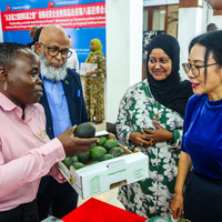 TANZANIA-DAR ES SALAAM-BUSINESS DELEGATION-CIIE