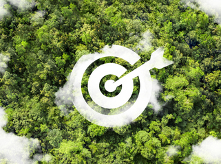 SBTi's new Corporate Net Zero Standard: What do businesses need to know?