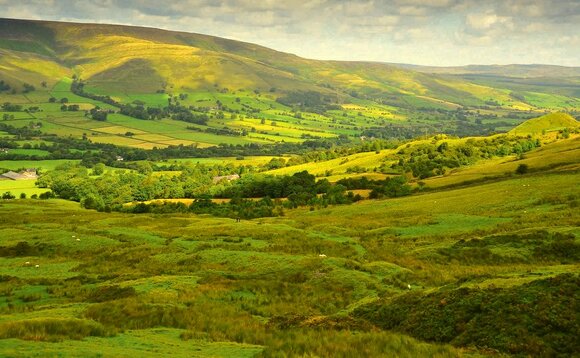 From the editor: "Social media has been alive with pictures and videos of cattle being turned out after a winter that has felt like a lifetime"