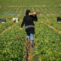Immigrants in Europe and North America earn 18% less than natives - here's why