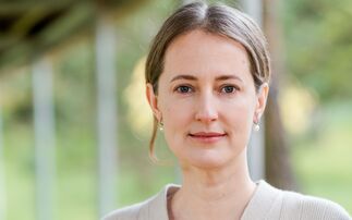 Britain's EV boom is a test of execution, not electricity scarcity