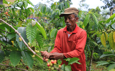 Rainforest Alliance brews up regenerative agriculture certification for coffee