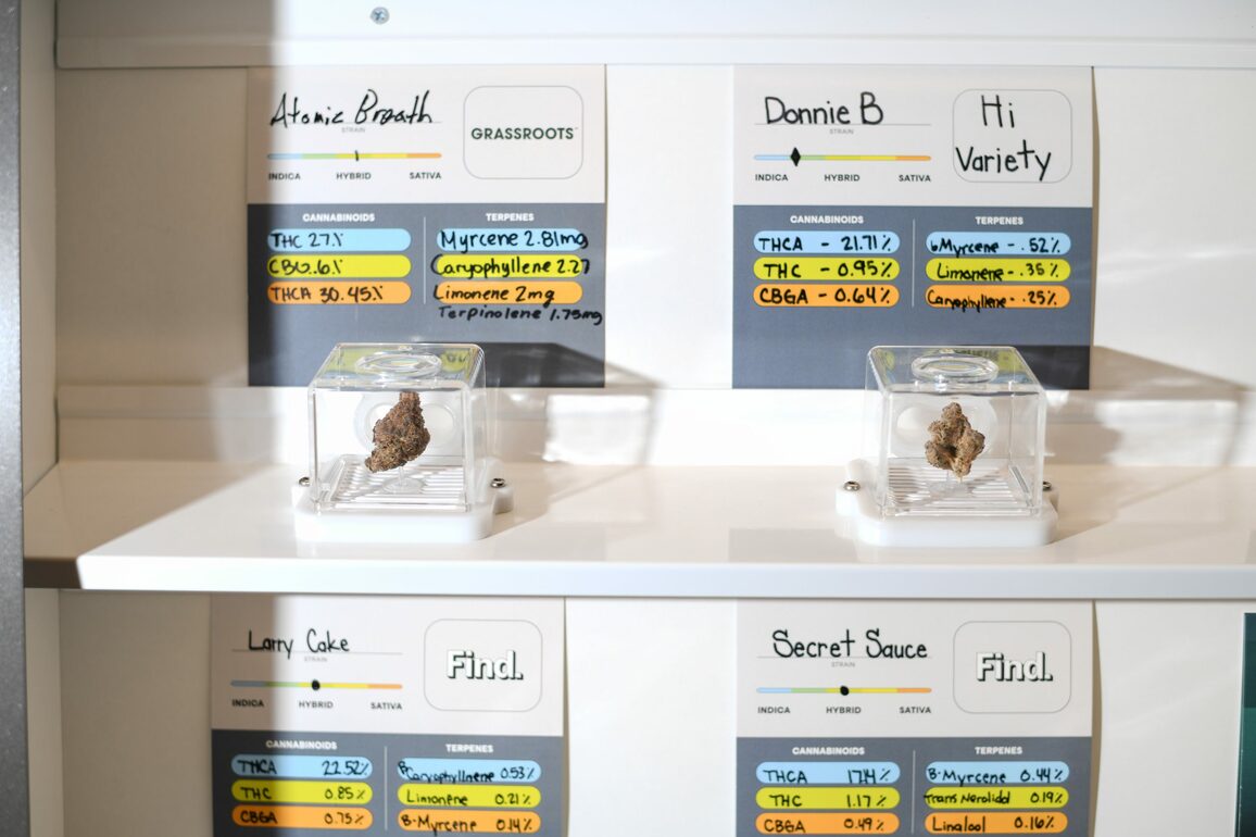 Medical providers, pharmacists help patients see if cannabis is right for them - Park Record