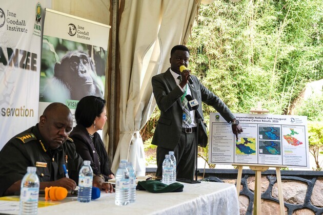 UGANDA-KAMPALA-BWINDI FOREST-CHIMPANZEE CENSUS