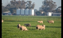  A new research collaboration in WA will help agricultural development. Picture Mark Saunders.