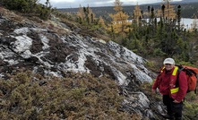  Quartz veins in ultramafic rock outcrop at Labrador Gold's Florence Lake property in Ontario