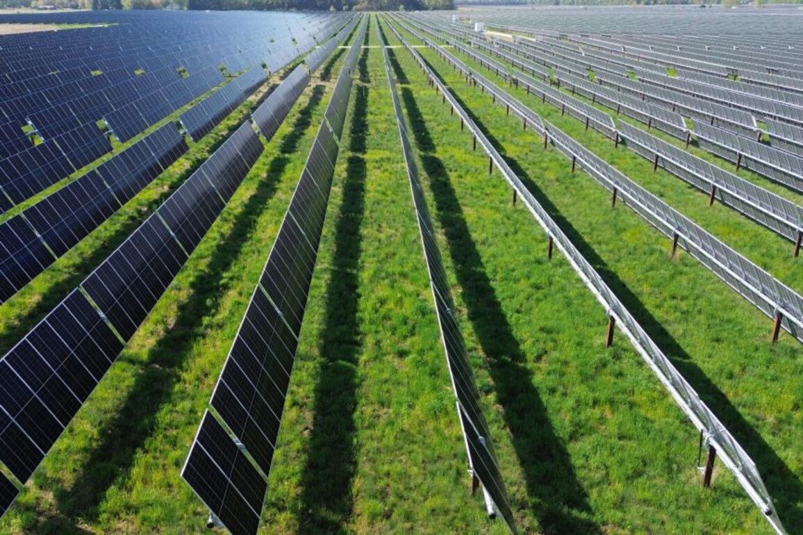 Trump Tariffs Hiking Costs, Limiting Options for Wisconsin Solar   Urban Milwaukee