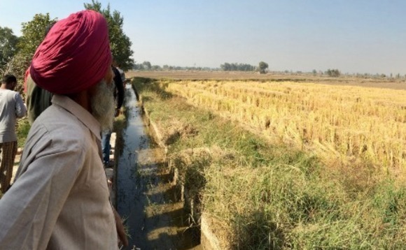 Indian agritech VeGrow secures seed funding