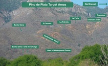  Pino de Plata targets and old workings in Mexico