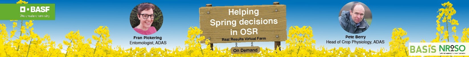 Help spring decisions in OSR