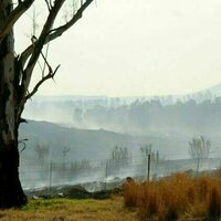 Berg winds in South Africa: the winter weather pattern that increases wildfire risks