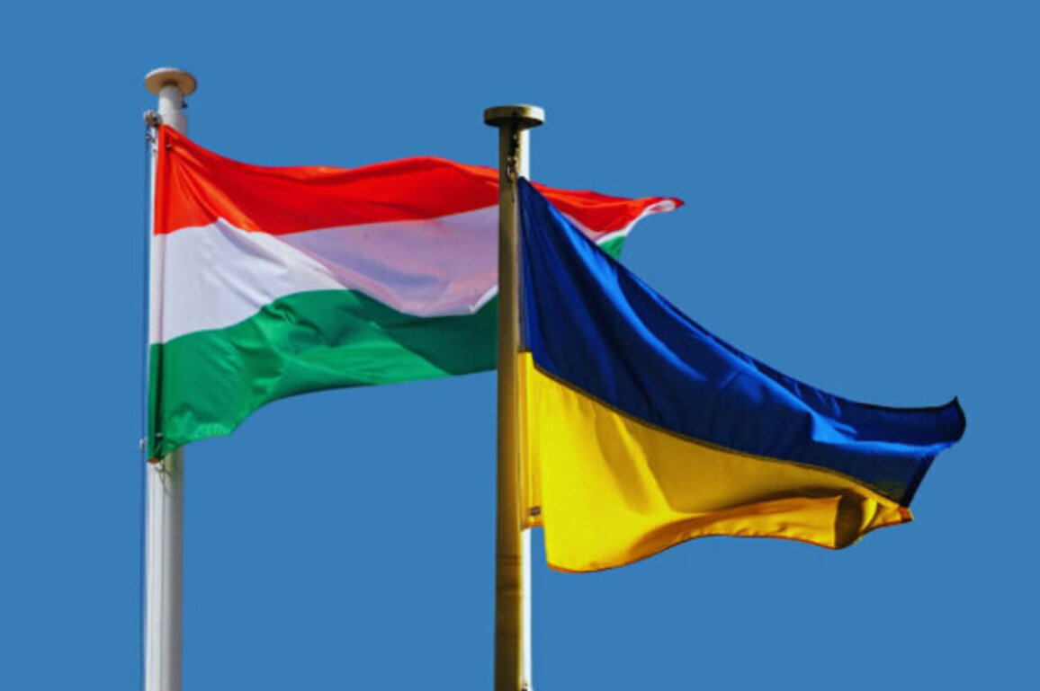 Nearly 60% of Hungarians Back Ukraine's EU Membership