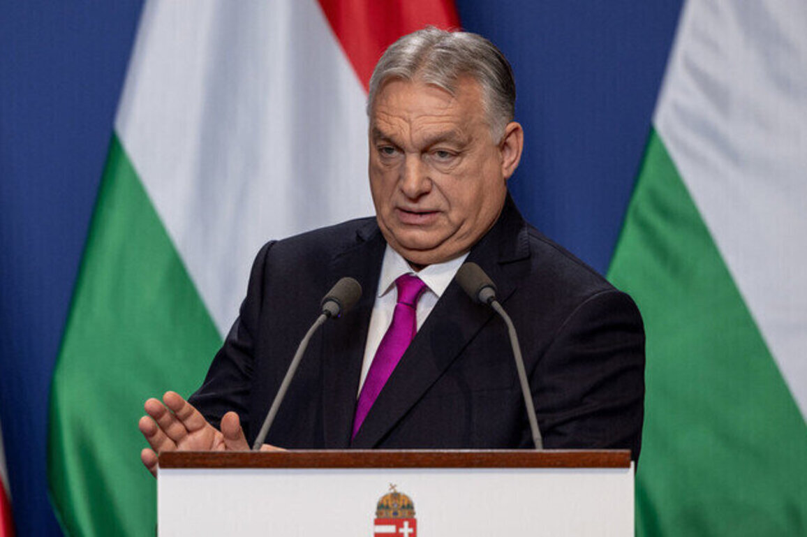 Hungary to deploy troops against potential Ukrainian attacks