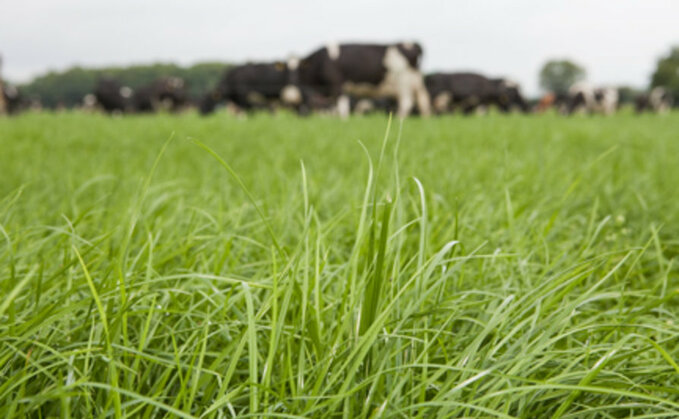 Grass growth boosts September milk deliveries