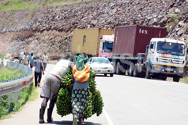   man pushing bunches of matooke off the main road from the irama ills border to the small paths across the river into wanda