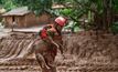 This dog was rescued when the Fundao dam collapsed,  killing 19 people and flattening a village