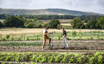 NFU Mutual launches new support to protect farmers in carbon and environmental markets