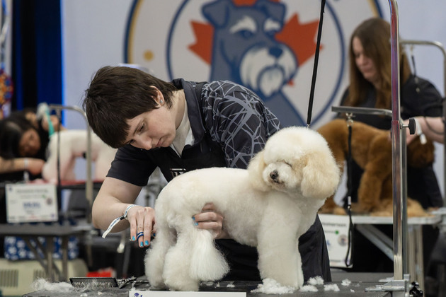 CANADA-ONTARIO-MISSISSAUGA-SPRING CANADIAN PET EXPO