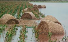 Research: Climate change most significant factor shaping EU farming adaptation