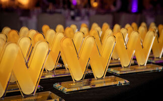 Women in Protection and Health Awards 2024: Highlights