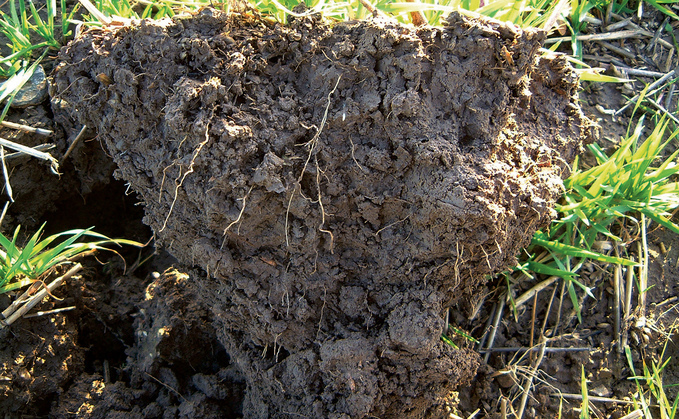 AHDB analysis suggests that 30% or more of soil organic carbon stock sits below the 30cm depth.