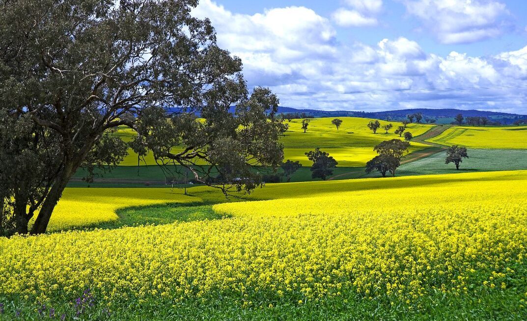 Price support for fertiliser importers will help ensure growers have access to critical inputs this season. 