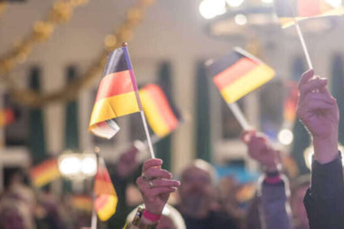 Germany's AfD hits new popularity record - poll