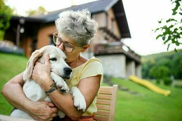 'I feel constant anxiety': how caring for a seriously unwell pet can lead to stress and burnout