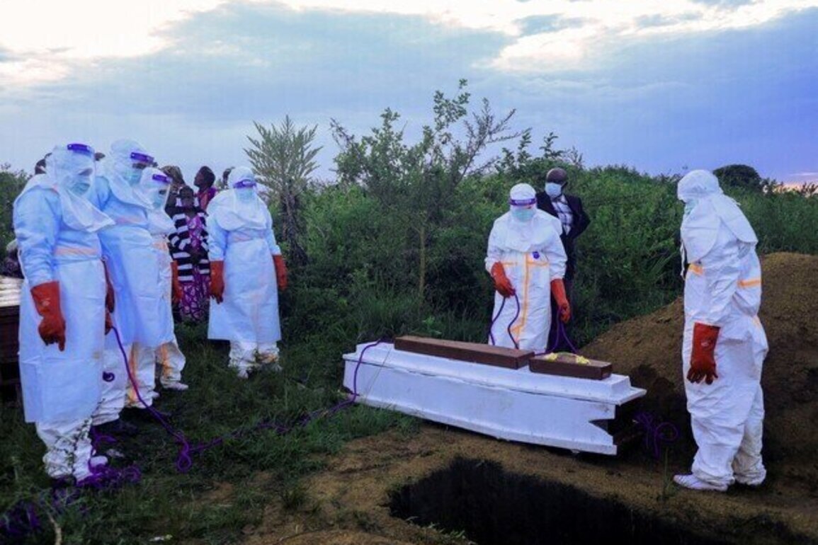 WHO reports 906 suspected Ebola cases, 223 deaths in Congo