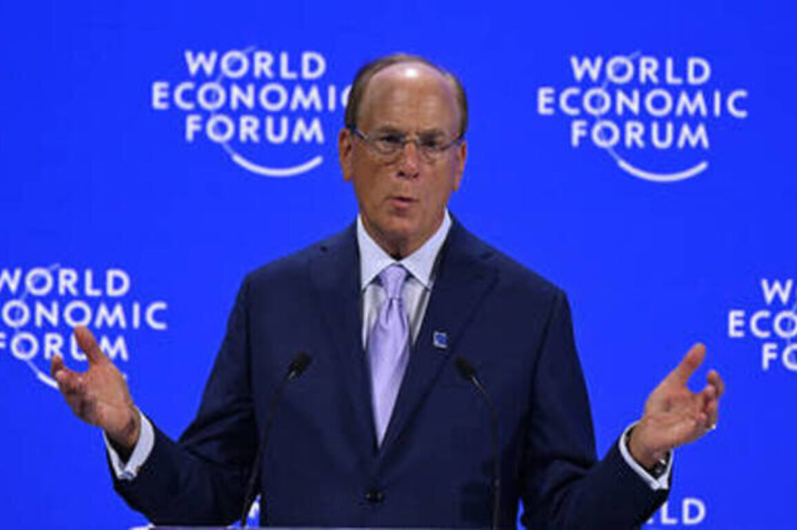 Blackrock boss working on $800 billion plan for Ukraine's economy - Witkoff