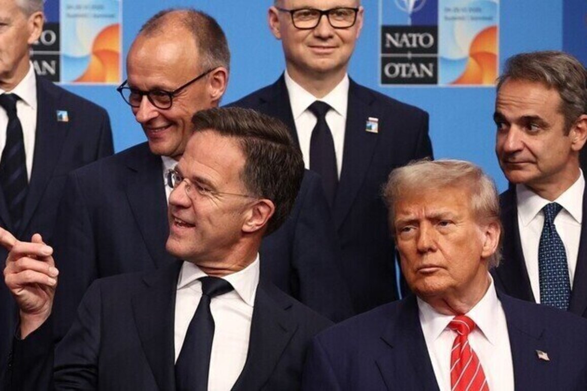 Trump drama triggers NATO summit cuts  Reuters