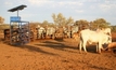 NT cattle stations managed from space in global first