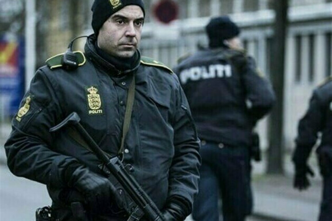 1 Killed, 2 Injured in Copenhagen Shooting