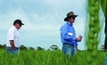 GRDC turning up the heat on annual frost