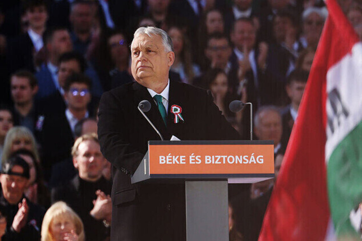 Brussels wants our sons to die for Ukraine  Orban