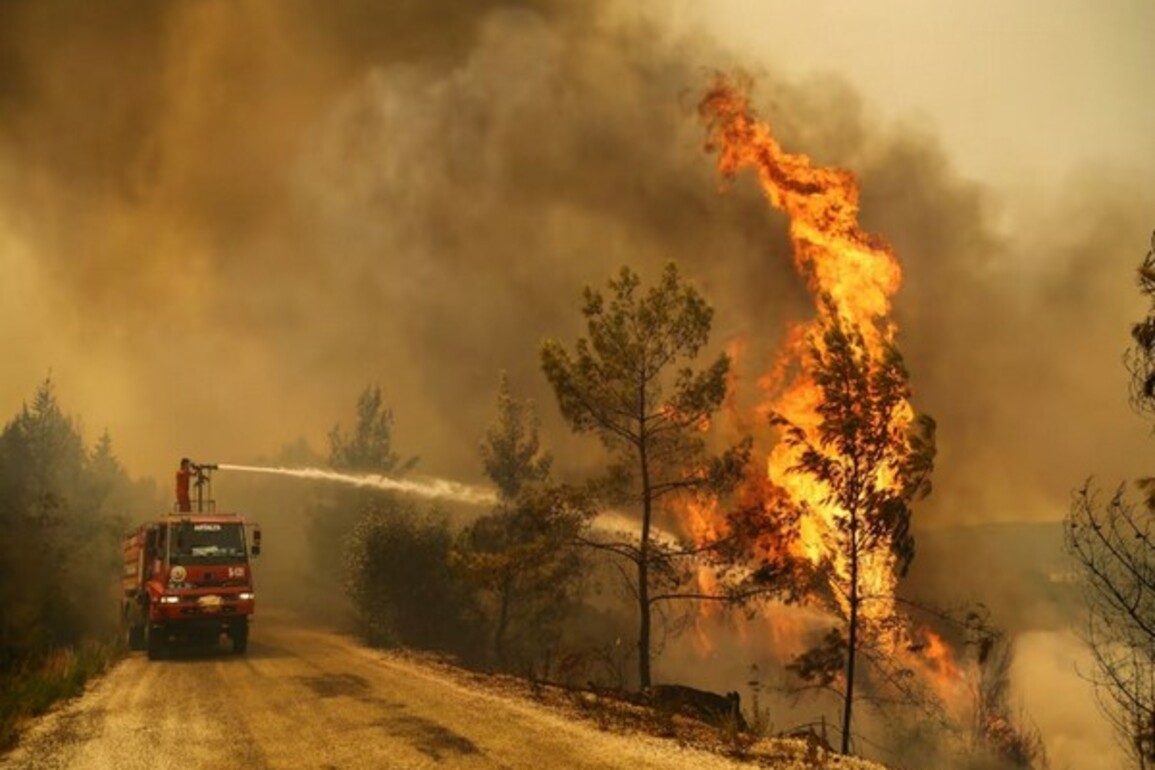 Turkey wildfires displaces over 1,700; kill 1 firefighter