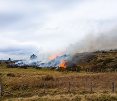 Fire Brigades Union: UK 'woefully under-prepared' for increasing wildfire threat