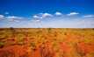 Magnetic country, Laverton region, WA. Credit: Magnetic