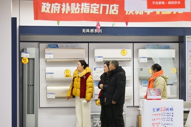 #CHINA-SPRING FESTIVAL-CONSUMPTION (CN)