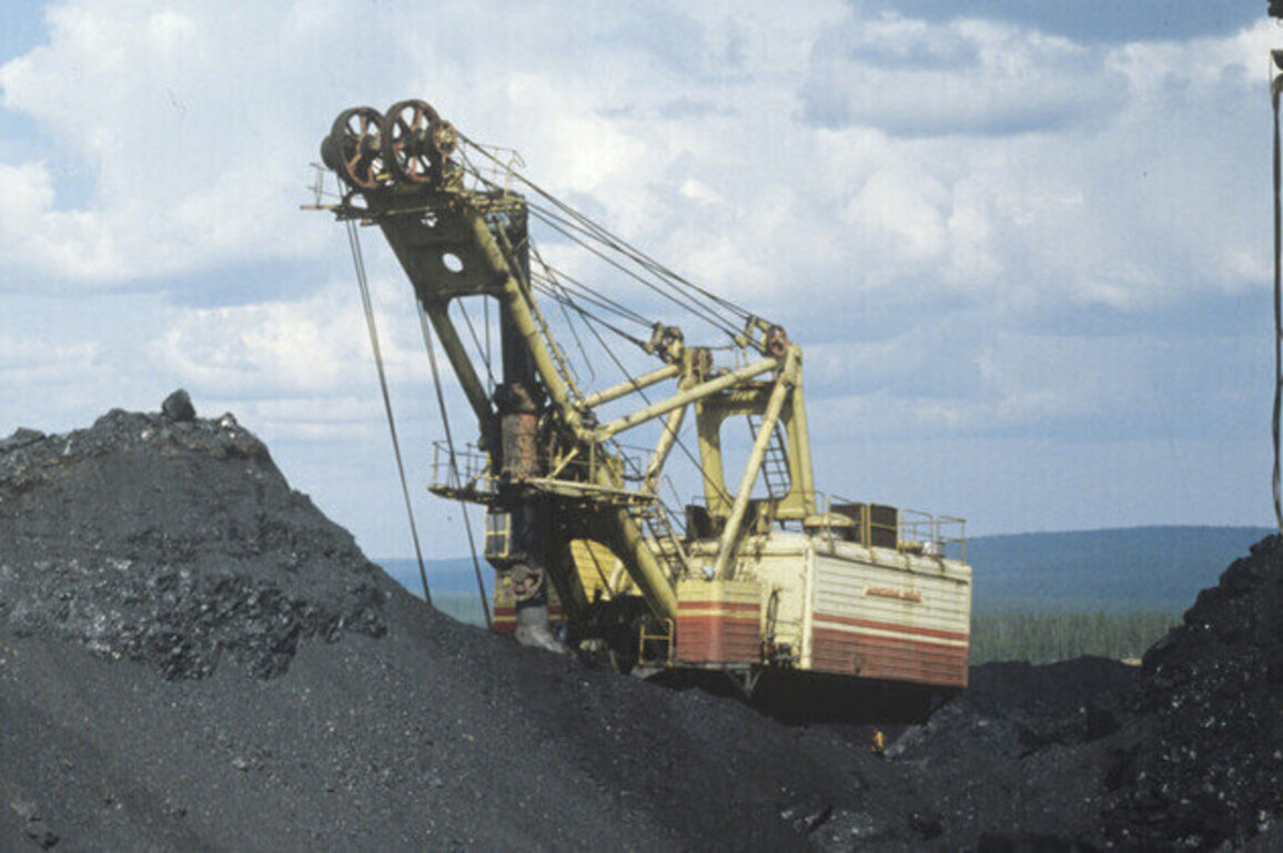 India wants to buy more coking coal and nickel from Russia  media