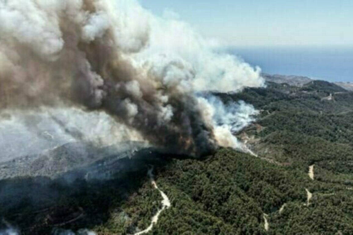 Lattakia Fires damage an area of 10 thousand hectares, Minister says