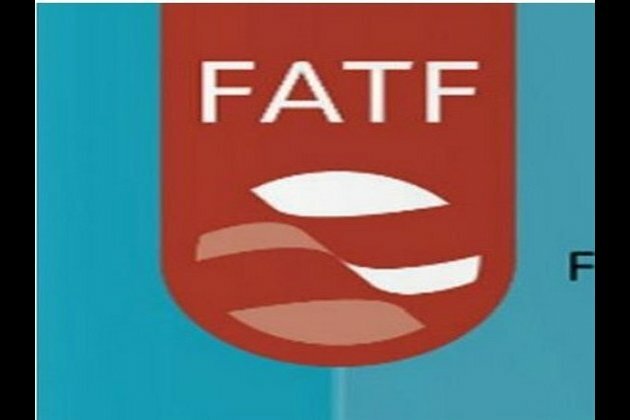 Pak to remain on FATF grey list till February 2020