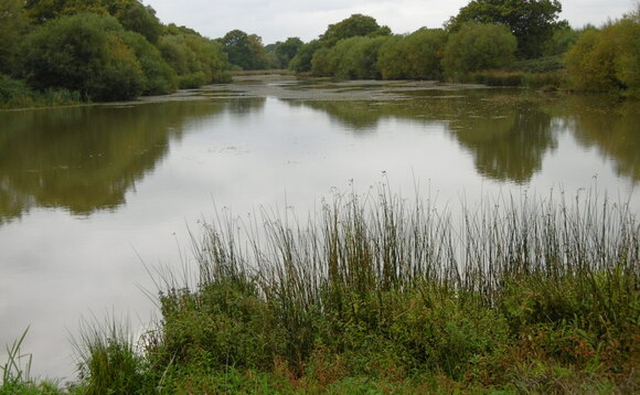 Old Hammer Pond on the Knepp Estate in West Sussex, a pioneering rewilding estate comprising 1400 ha of former arable and dairy farm land. Credit: Marathon