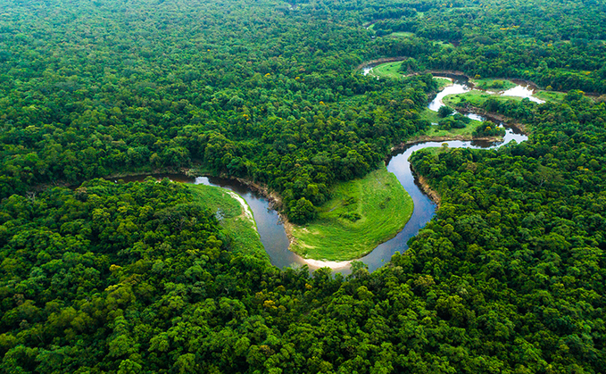 Partner Insight: Artificial Intelligence – the environment's ally