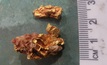 Prospector-found gold from Croydon Top Camp