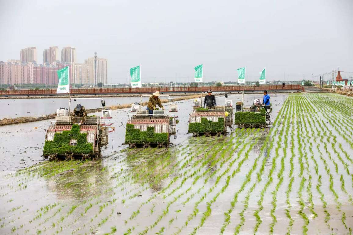 CHINA-TIANJIN-FOOD-WASTE REDUCING (CN)