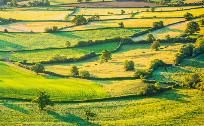 Seymour Stevens Ltd is a mixed beef and arable farm in Faversham, Kent