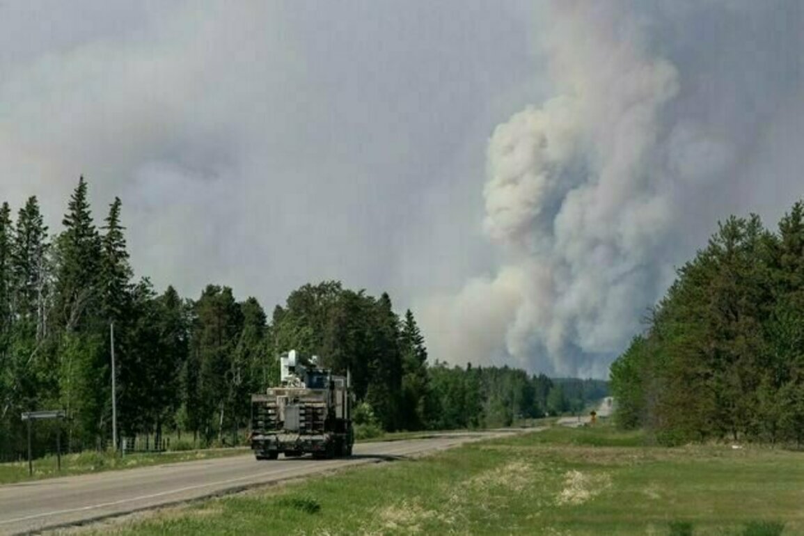 Dealing with wildfires requires a whole-of-society approach